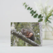 Cartes postales du membre de l'arbre (Debout devant)