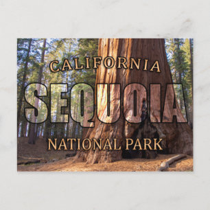 Cartes postales du parc national de Sequoia