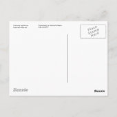 Cartes postales du phare du Cap May (Dos)