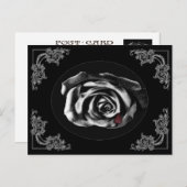 Cartes postales du rose noir gothique Vampire (Devant / Derrière)