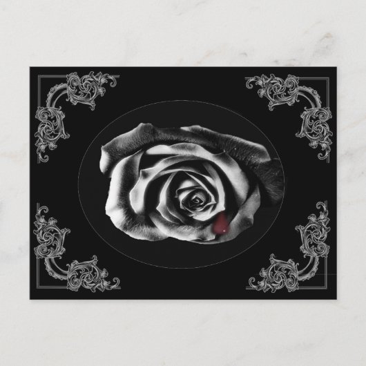 Cartes postales du rose noir gothique Vampire (Devant)