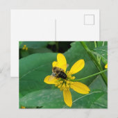 Cartes postales d'un bourdon personnalisé sur une  (Devant / Derrière)