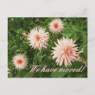 Cartes postales élégantes en mouvement avec fleur