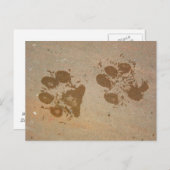 Cartes postales Empreintes de pattes (Devant / Derrière)