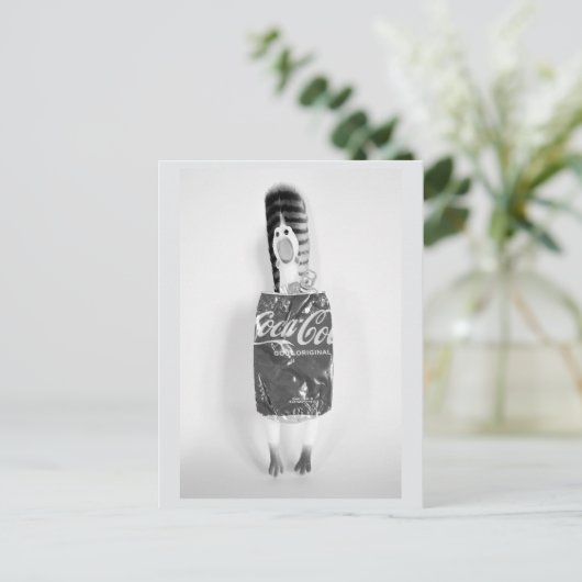 Cartes postales en caoutchouc recyclé (Debout devant)