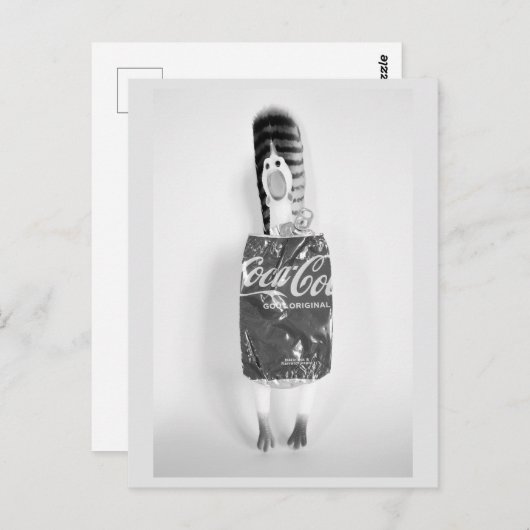 Cartes postales en caoutchouc recyclé (Devant / Derrière)