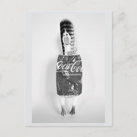 Cartes postales en caoutchouc recyclé (Devant)