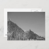 cartes postales en chaume (Devant / Derrière)