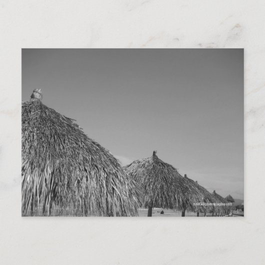 cartes postales en chaume (Devant)