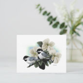 Cartes postales en chickadee noir (Debout devant)