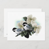 Cartes postales en chickadee noir (Devant / Derrière)