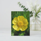 Cartes postales en coupe-beurre (Debout devant)