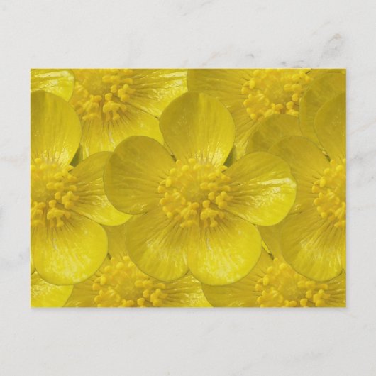 Cartes postales en coupe-beurre (Devant)