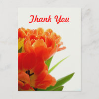 Cartes postales en Merci de Tulipes orange