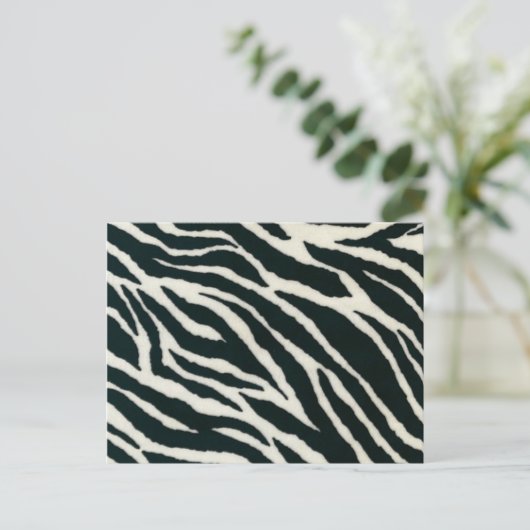 Cartes postales en noir et blanc Zebra (Debout devant)