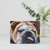 Cartes postales épuisées (Bulldog) (Debout devant)