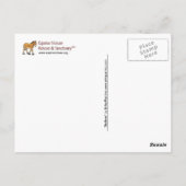 Cartes postales Equine Voices Gulliver (Dos)