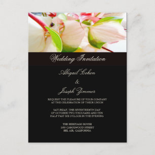 Cartes postales faire-part de mariage