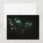 Cartes postales Fireworks (Devant / Derrière)