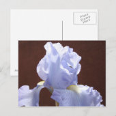 Cartes postales Fleur d'Iris Bleu Ajouter Texte (Devant / Derrière)