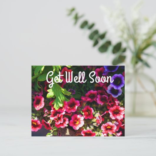 Cartes postales Fleurs de Pâquerette rouges #1 (Debout devant)