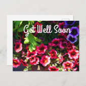 Cartes postales Fleurs de pétunias rouges #1 (Devant / Derrière)