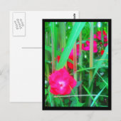 Cartes postales-Fleurs de ville-13 (Devant / Derrière)