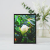 Cartes postales-Fleurs de ville-38 (Debout devant)