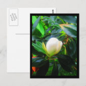 Cartes postales-Fleurs de ville-38 (Devant / Derrière)