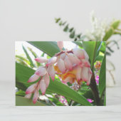 Cartes postales florales Shell Ginger Flowers (Debout devant)