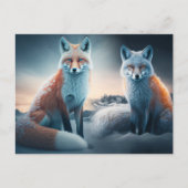 Cartes Postales Fox  (Devant)