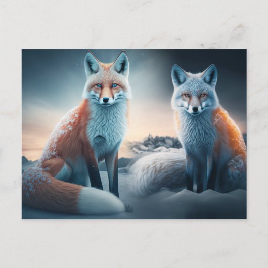 Cartes Postales Fox  (Devant)