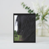Cartes postales Friesian View (Debout devant)