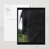 Cartes postales Friesian View (Devant / Derrière)