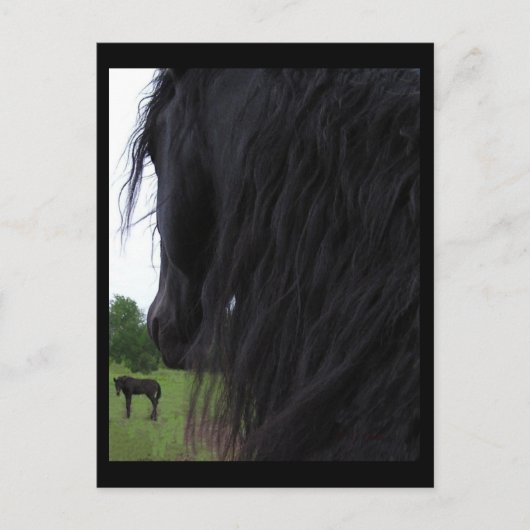 Cartes postales Friesian View (Devant)