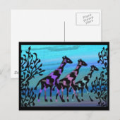 Cartes postales Giraffe Sunrise (Devant / Derrière)
