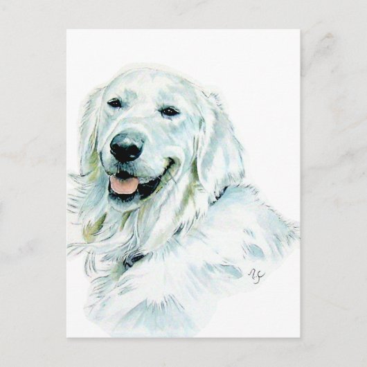 Cartes postales Golden Retriever (Devant)
