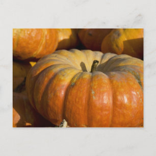 Cartes postales: Grand Citrouille