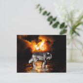 Cartes postales Grey Wolf (Debout devant)