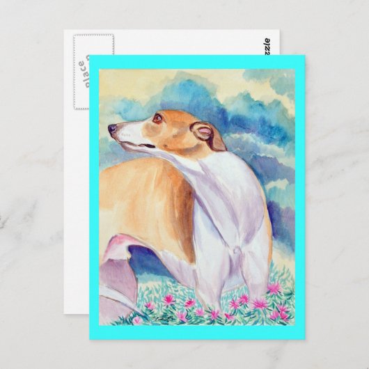 Cartes postales Greyhound (Devant / Derrière)