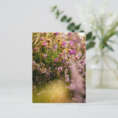 Cartes postales Heather Grouse Floral Nature Autom (Debout devant)