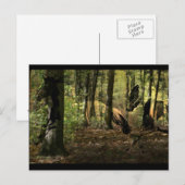 Cartes postales Horse Spirit (Devant / Derrière)