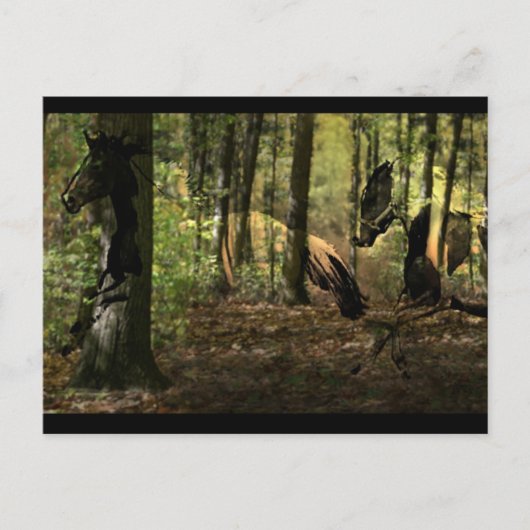 Cartes postales Horse Spirit (Devant)