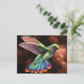 Cartes postales Humminbird 2 (Debout devant)