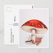 Cartes postales - Illustration des champignons de (Devant / Derrière)
