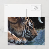 Cartes postales Imaginaire Tiger et Lune (Devant / Derrière)