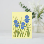 Cartes postales jaunes Iris bleus (Debout devant)