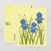 Cartes postales jaunes Iris bleus (Devant / Derrière)