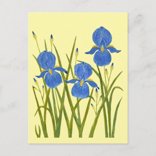 Cartes postales jaunes Iris bleus (Devant)