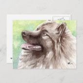 Cartes postales Keeshond (Devant / Derrière)